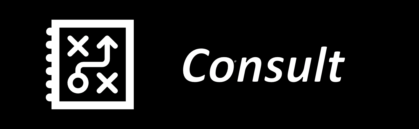 consulting for your business